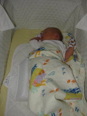 Day 6 - sleeping at home